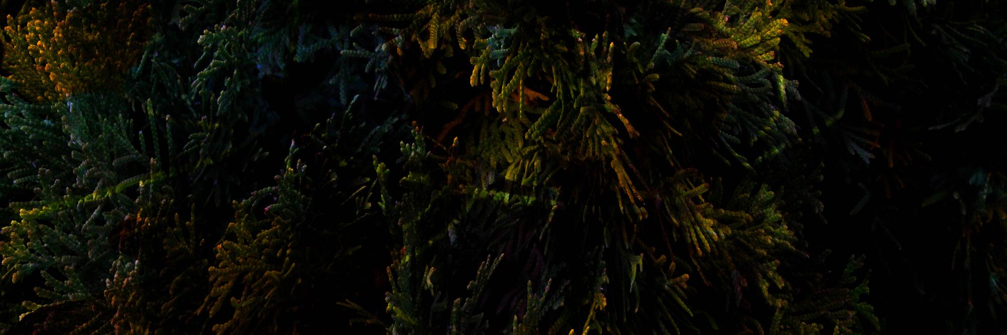 rpuffer97's profile banner image