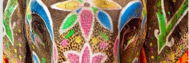 Naomigb7's profile banner image