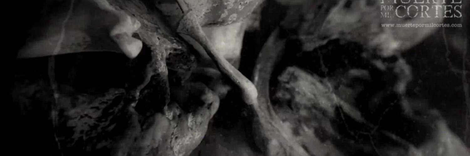 muertexmc's profile banner image