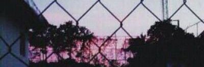xT💗 banner