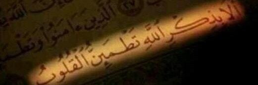 saeid549's profile banner image