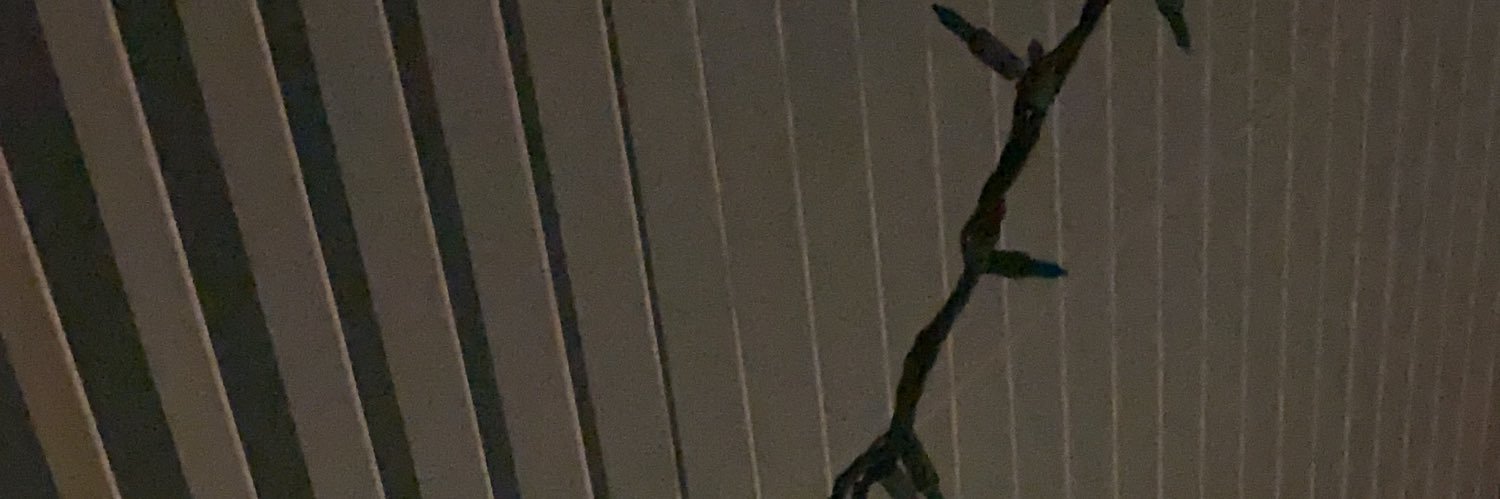 collinn_73's profile banner image