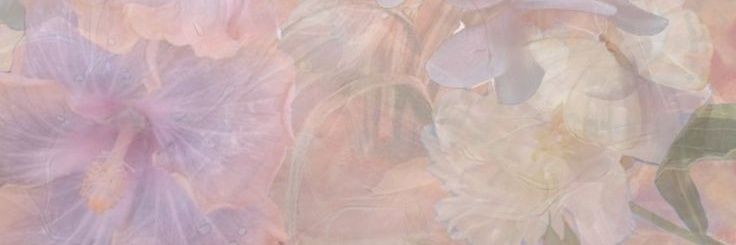 ce_roma's profile banner image