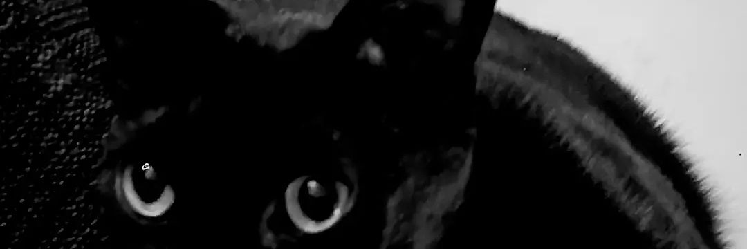 JONYhumanTORCH's profile banner image