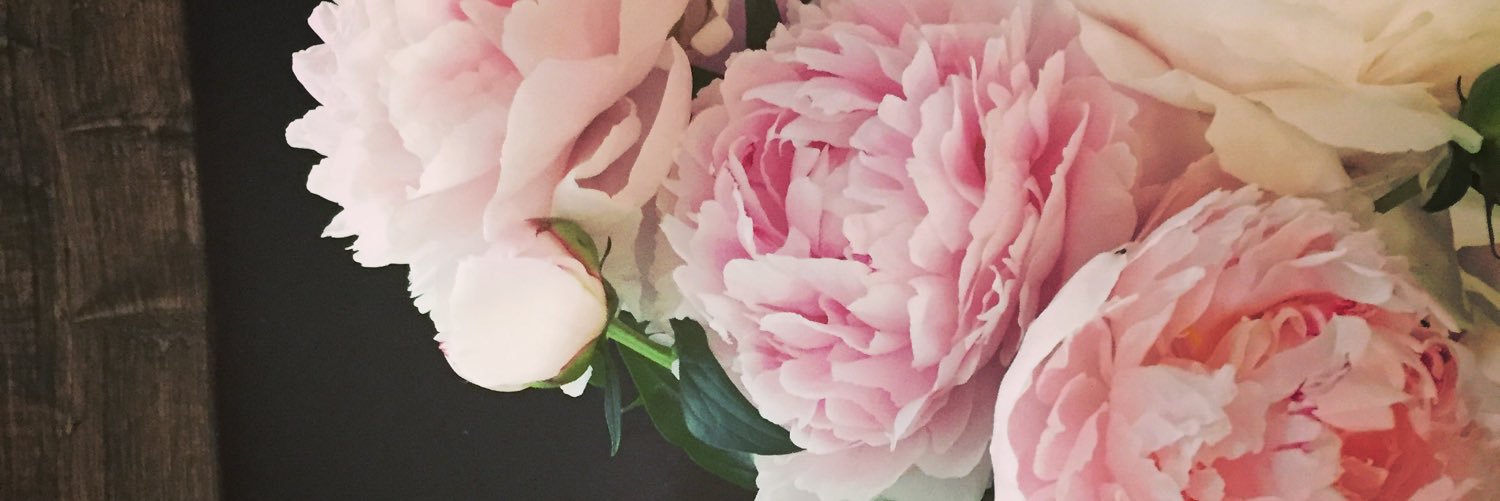ChristaFrey's profile banner image