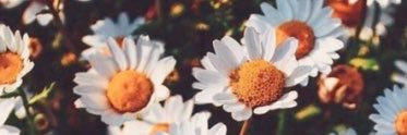 brittbel21's profile banner image