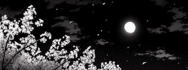 lunayfbry2k's profile banner image