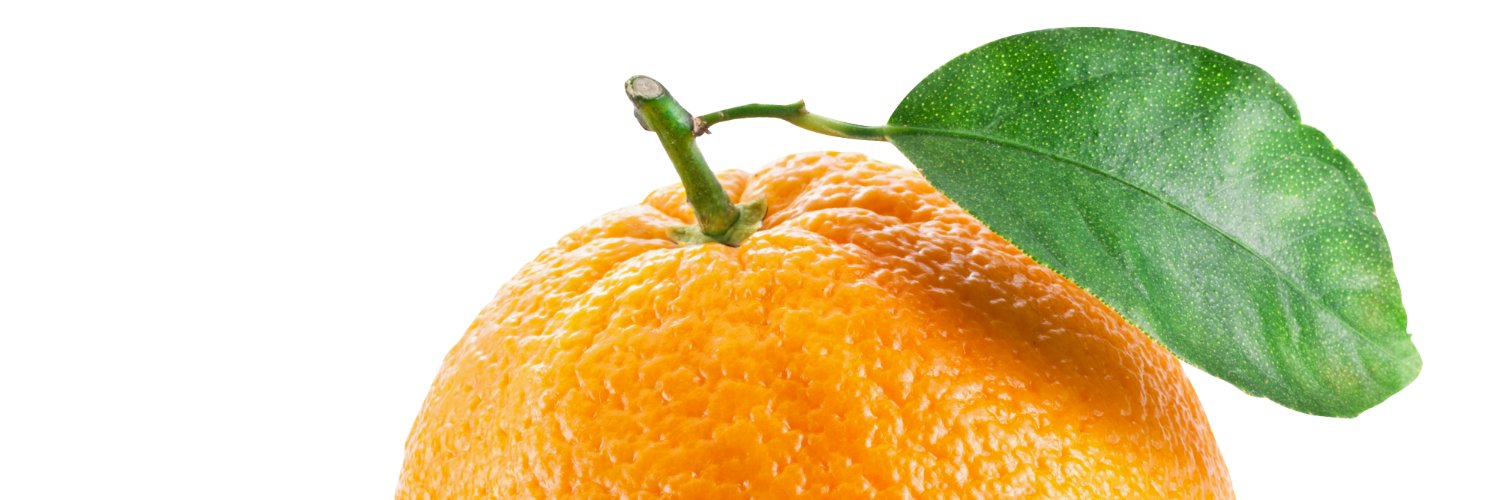 TheJoggingSR's profile banner image