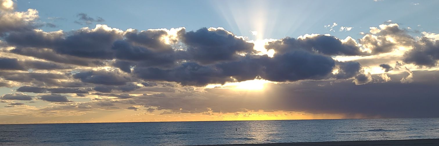 Cynthia Clover banner