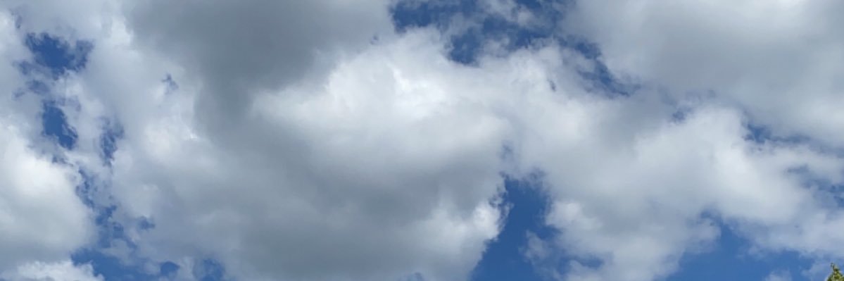 wichwich173's profile banner image