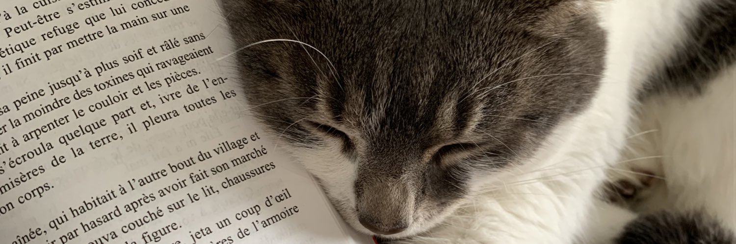 liinasab's profile banner image