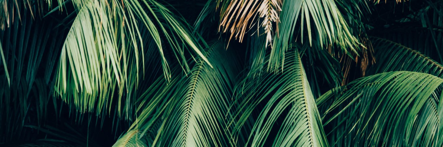 dinarputraa's profile banner image