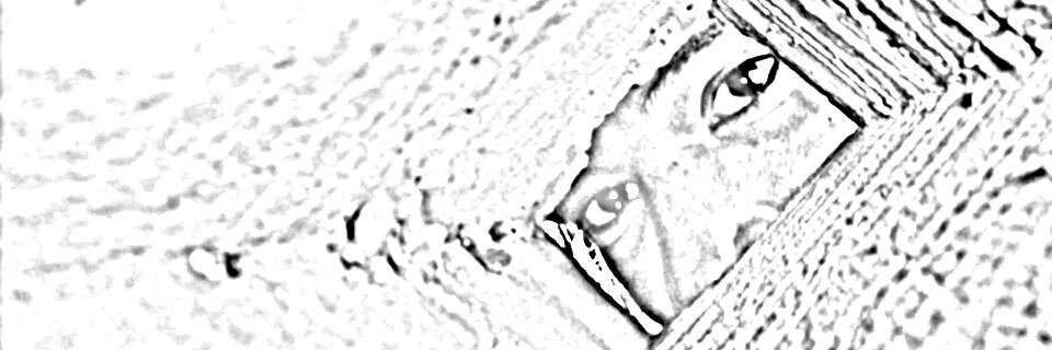 TegoCryptoman's profile banner image