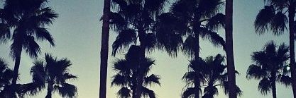 tchauany's profile banner image