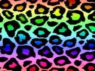 alducast's profile banner image