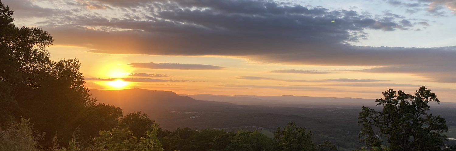 oliviafarber11's profile banner image