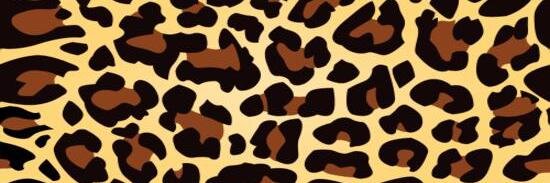 AddieCakes69's profile banner image