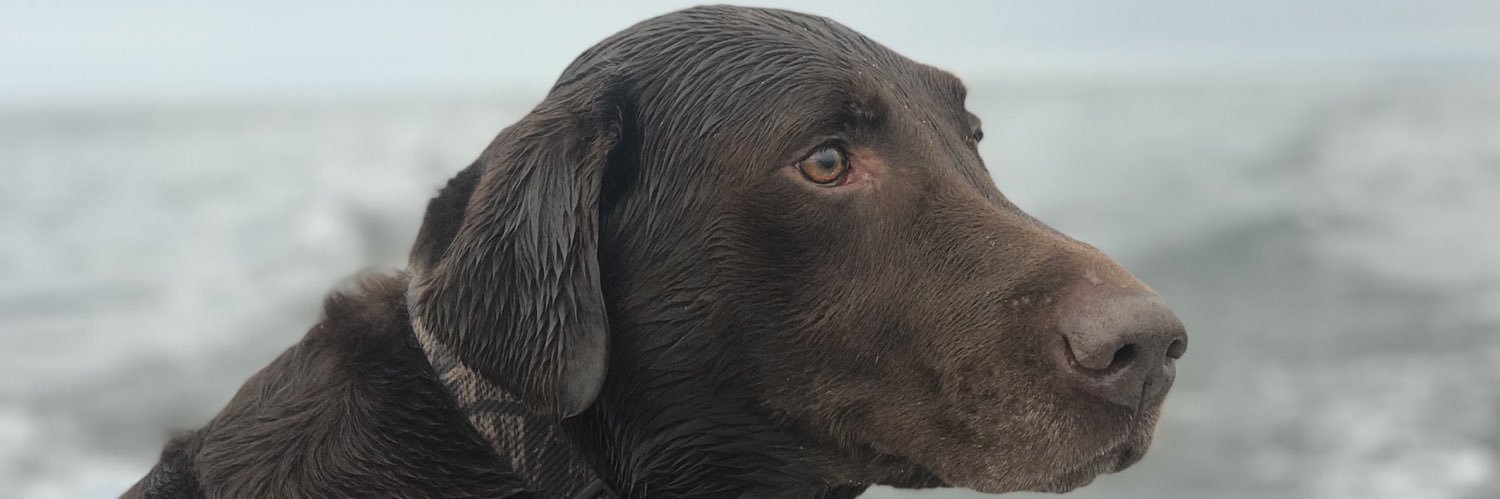 BrandonKangas_'s profile banner image