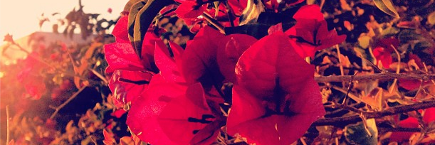 _exskltn_'s profile banner image