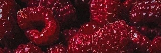 toribev4's profile banner image