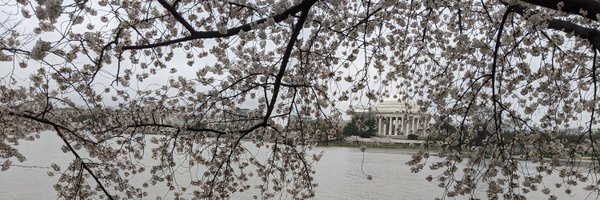 DMfun Profile Banner