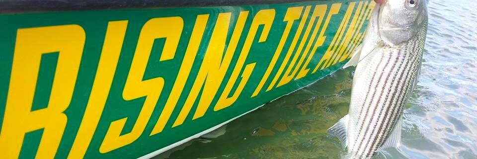 RisingTideFly's profile banner image