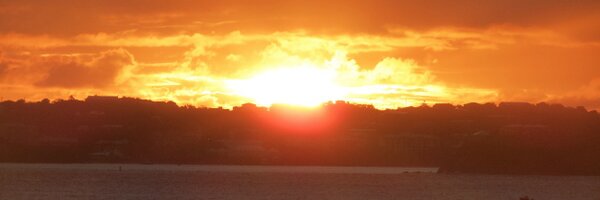 PlanetCoven Profile Banner