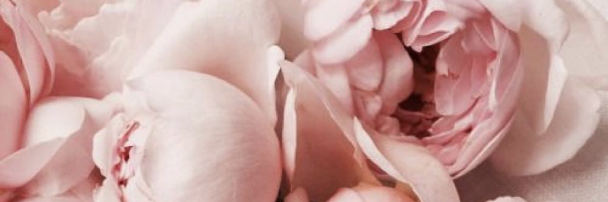 Swatchie's profile banner image