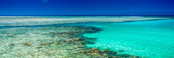 lilypartridge Profile Banner