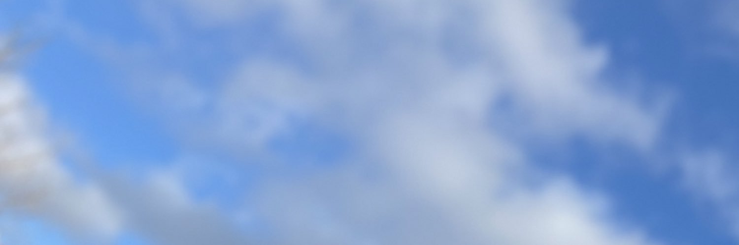 LLOYDBLAINE's profile banner image
