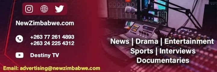 NewZimbabwe.com's banner