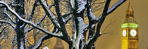 Maxine Goddard banner