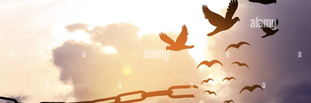 soysofiaHok's profile banner image