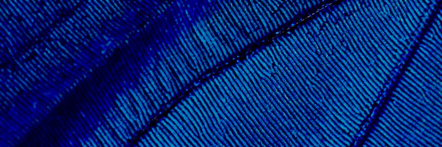 abdalalive's profile banner image