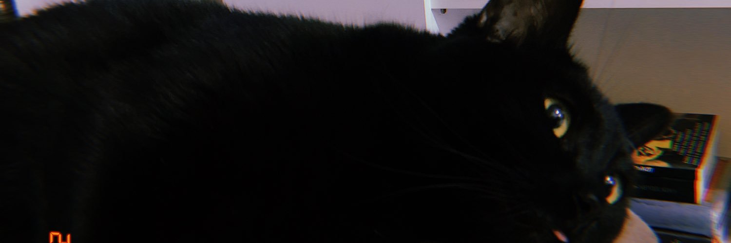 JVsalles_'s profile banner image