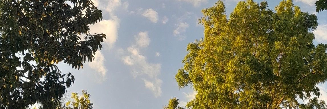 aprilstephaniee's profile banner image