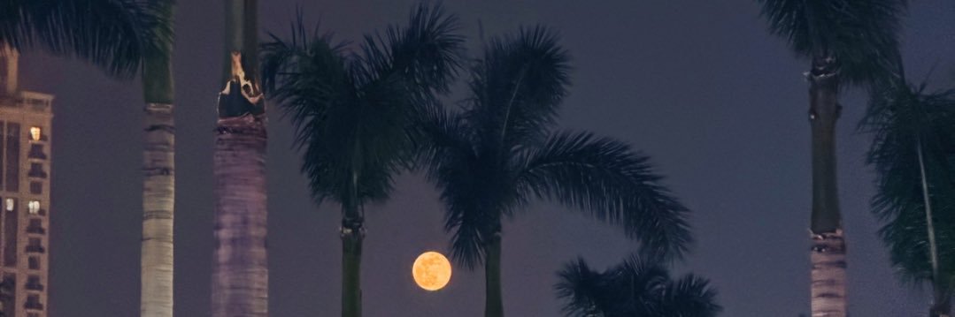 adxqm's profile banner image