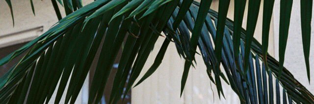 katieballl's profile banner image