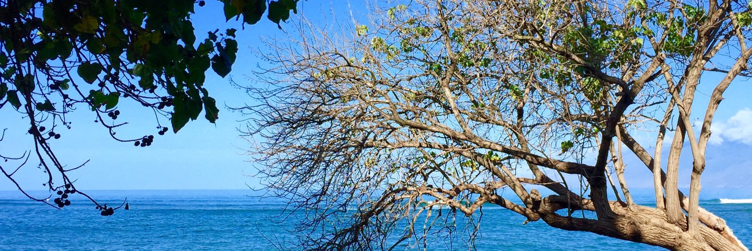 jordan webster banner