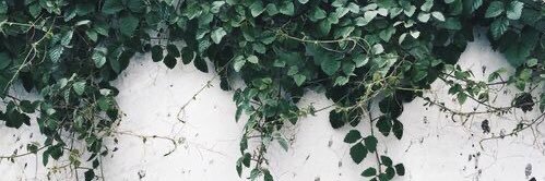 mith_Camarena's profile banner image