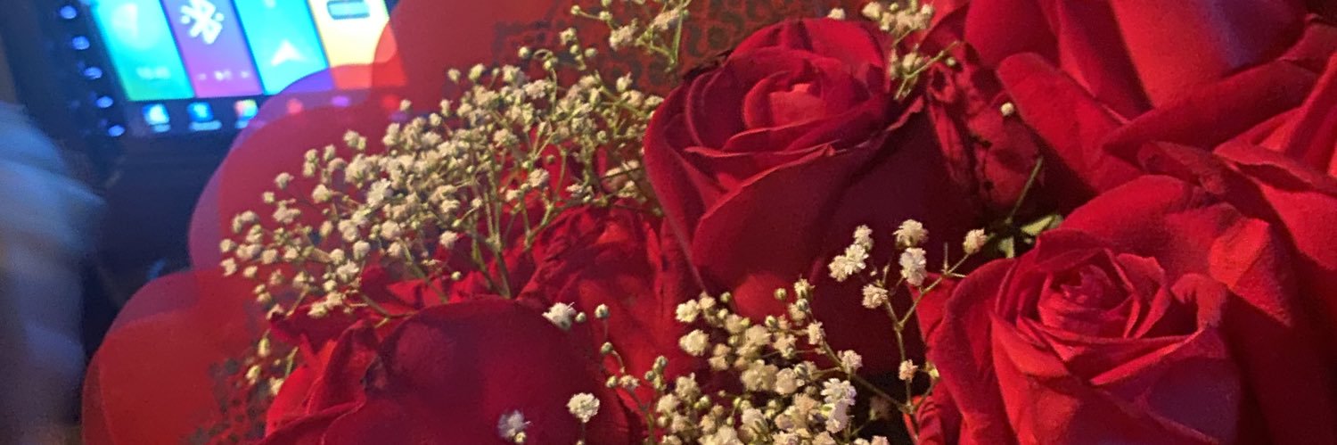 steesegantini's profile banner image