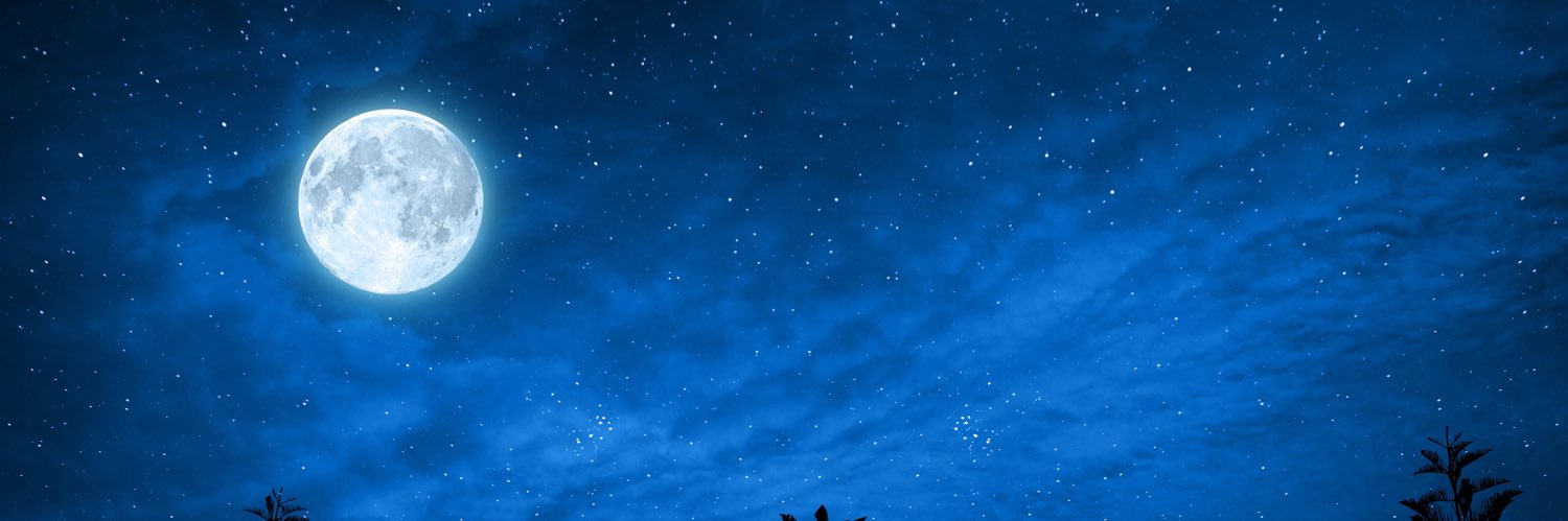 Ali banner