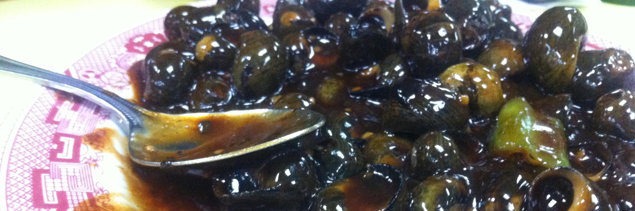 Michael Sheerin banner