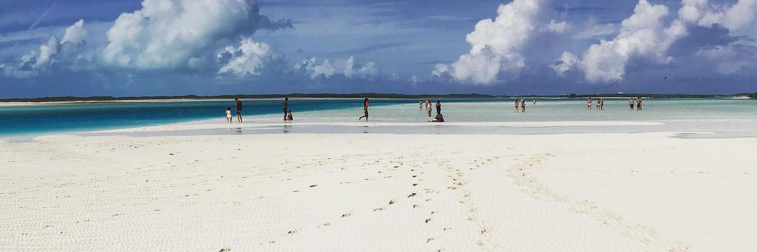 Trent Hornibrook banner