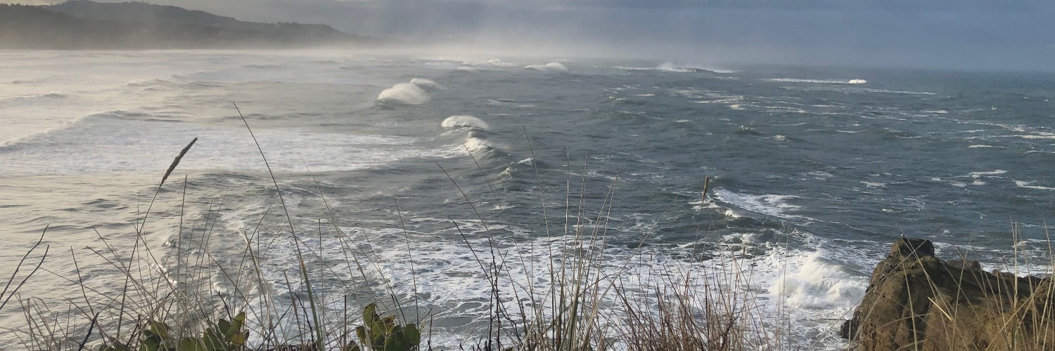 John Sindelar banner