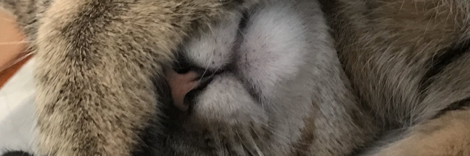 ItsJen_Again's profile banner image
