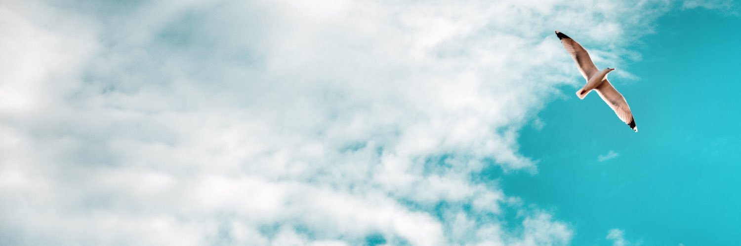 ismailseval's profile banner image