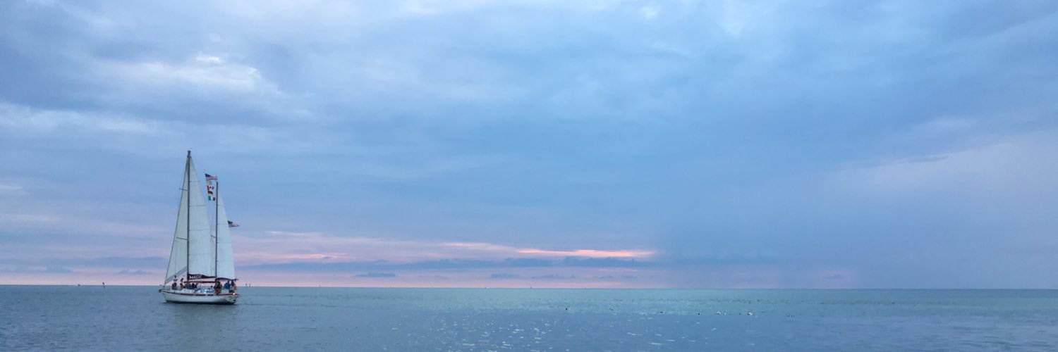 bubbledecker's profile banner image