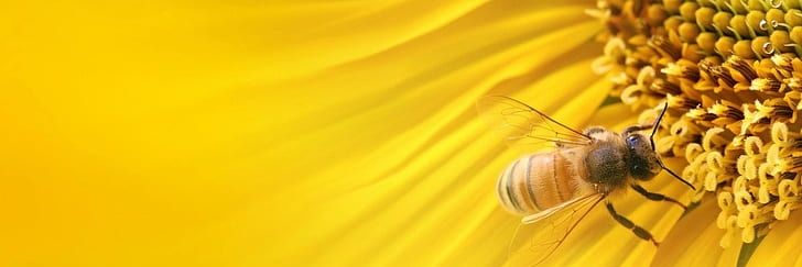beeing_april's profile banner image