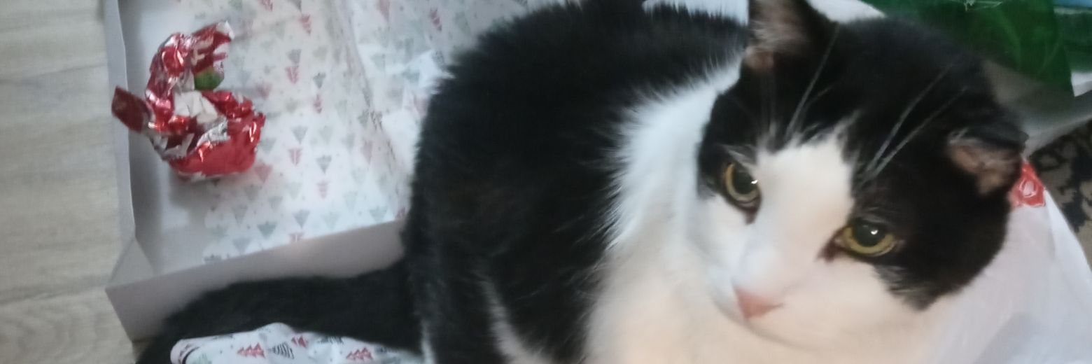 rddhead's profile banner image